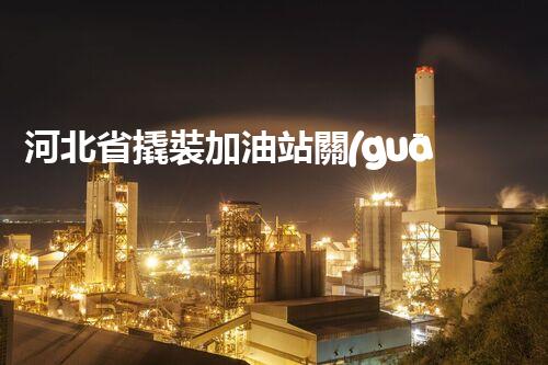 河北省撬裝加油站關(guān)鍵技術(shù)突破！化工廠拆除工程的新方法探索？